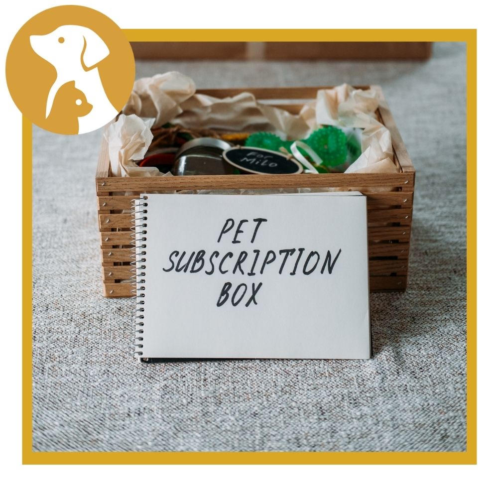 Best Dog Subscription Boxes