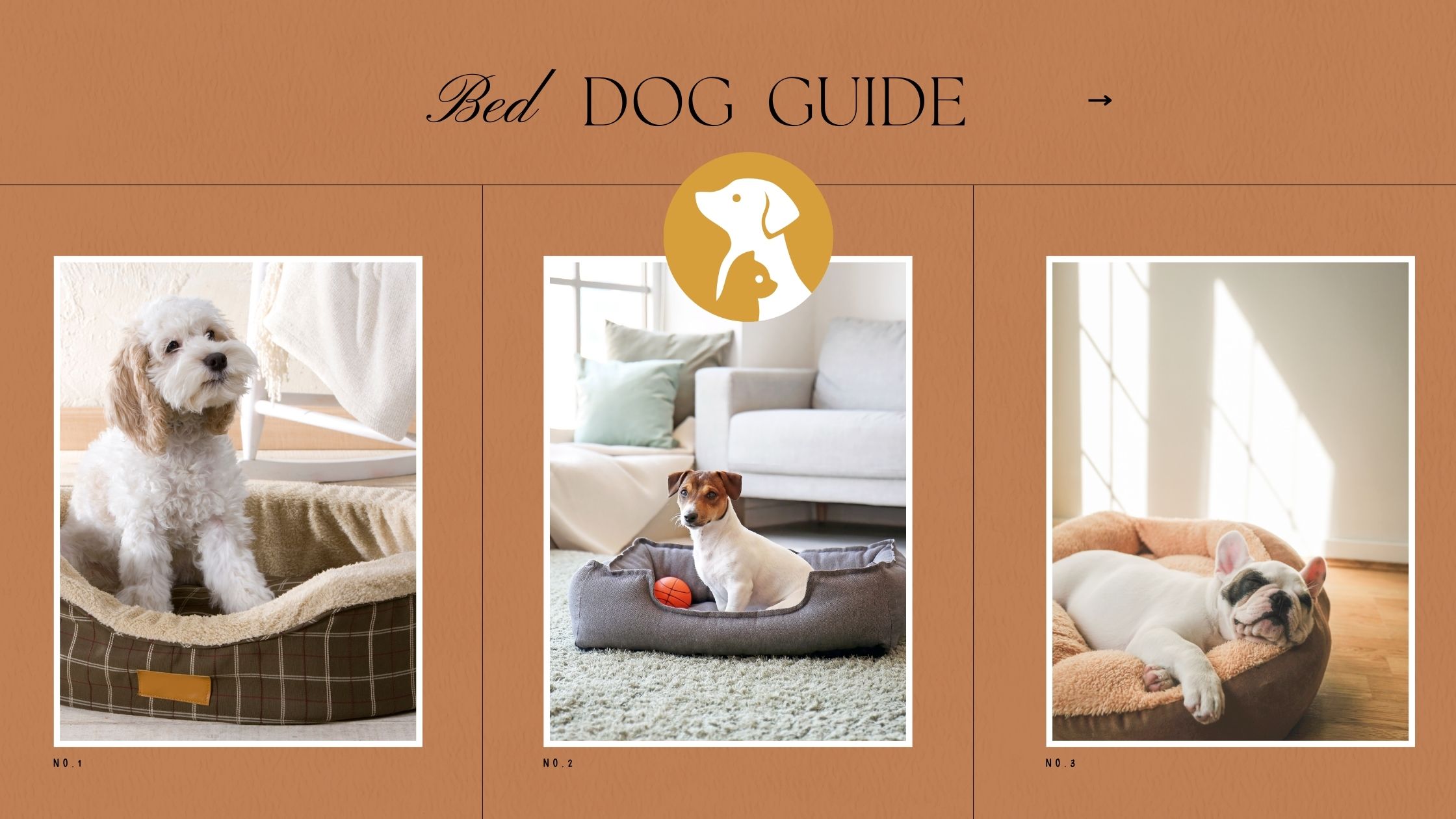 Dog Bed Guide