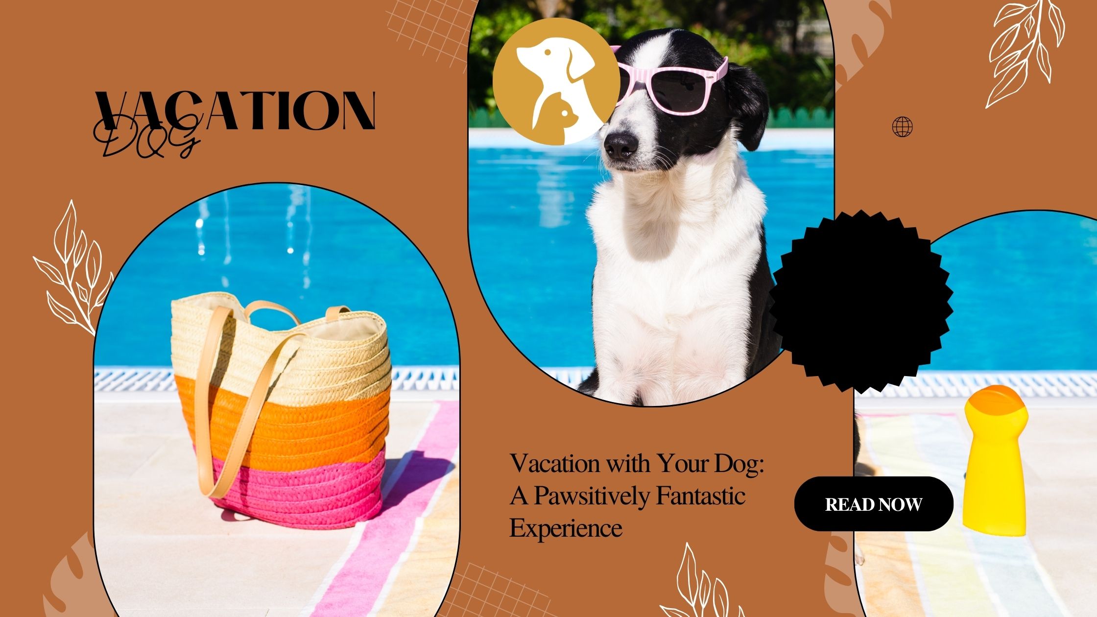 Vacation with Your Dog