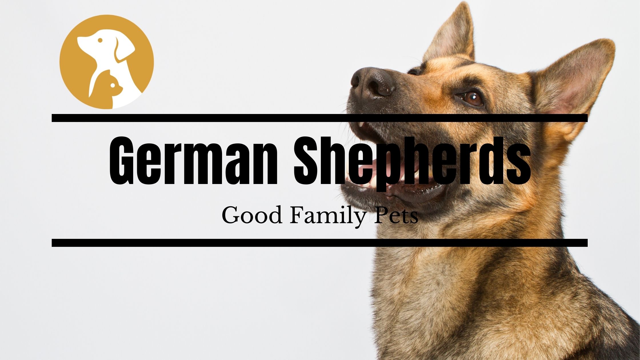 Are German Shepherds Good Family Pets