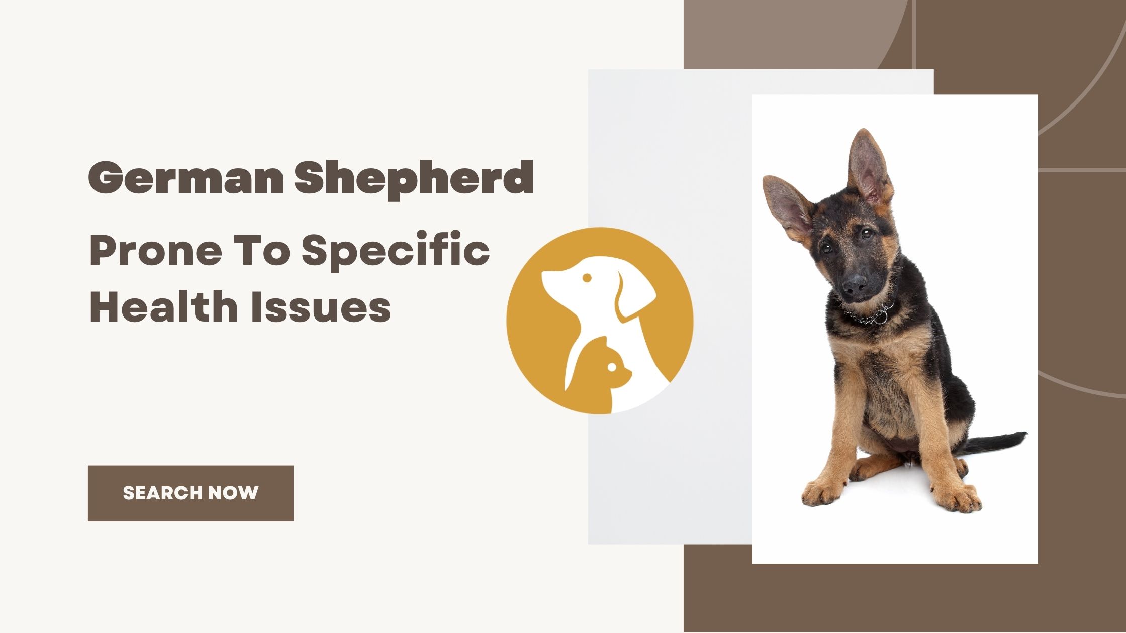 Are German Shepherds Prone To Specific Health Issues