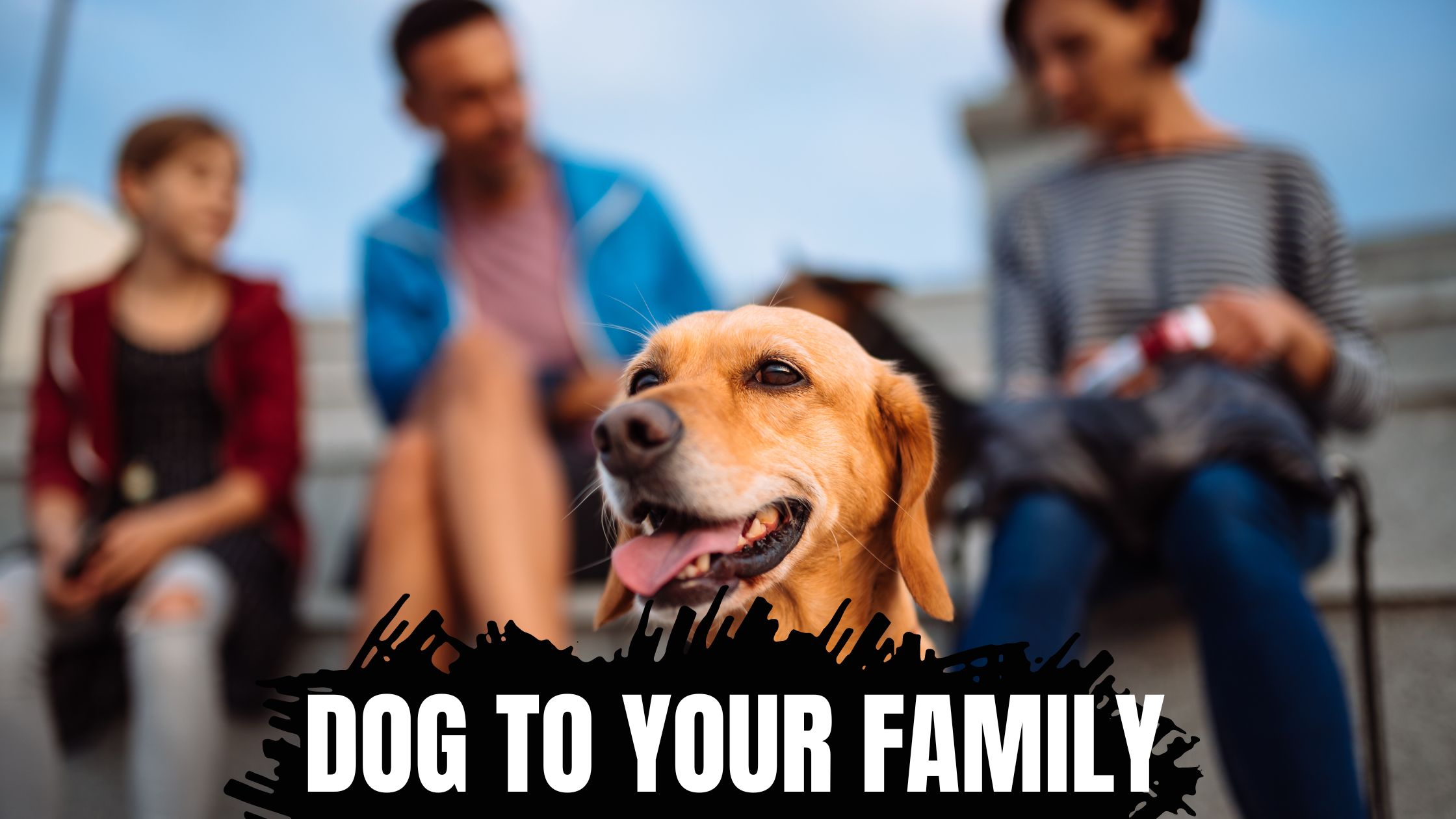 How Do You Introduce A Dog To Your Family?