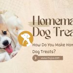 How Do You Make Homemade Dog Treats?