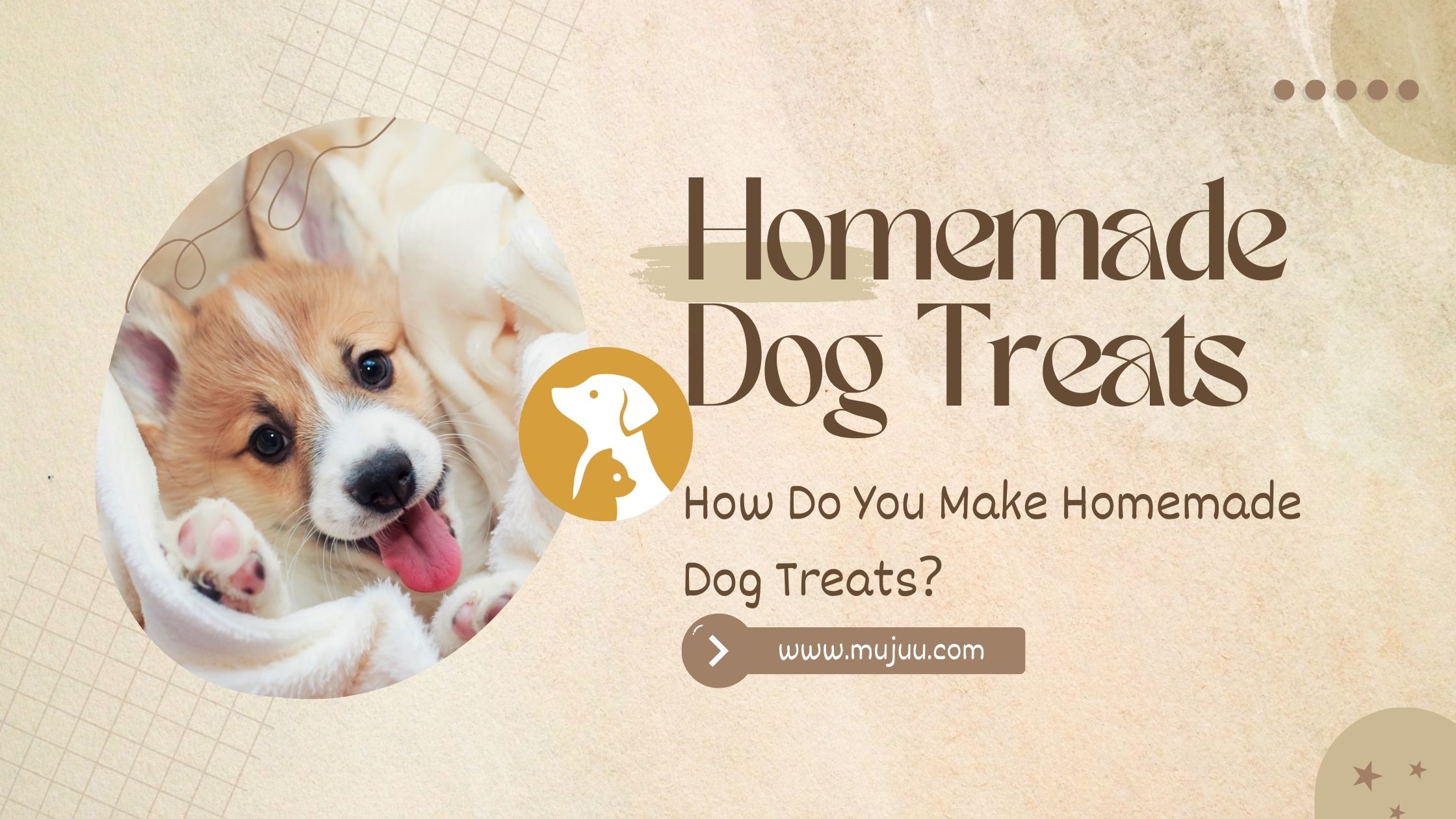 How Do You Make Homemade Dog Treats?