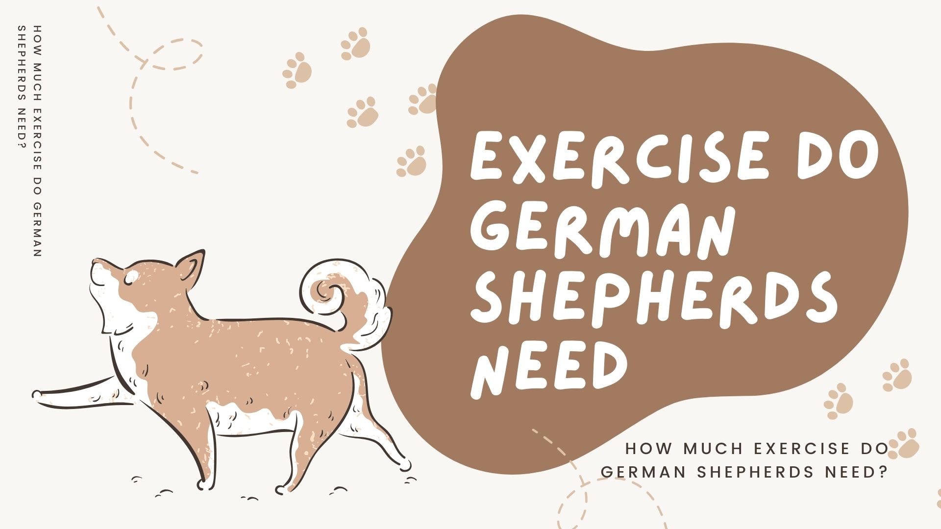 How Much Exercise Do German Shepherds Need