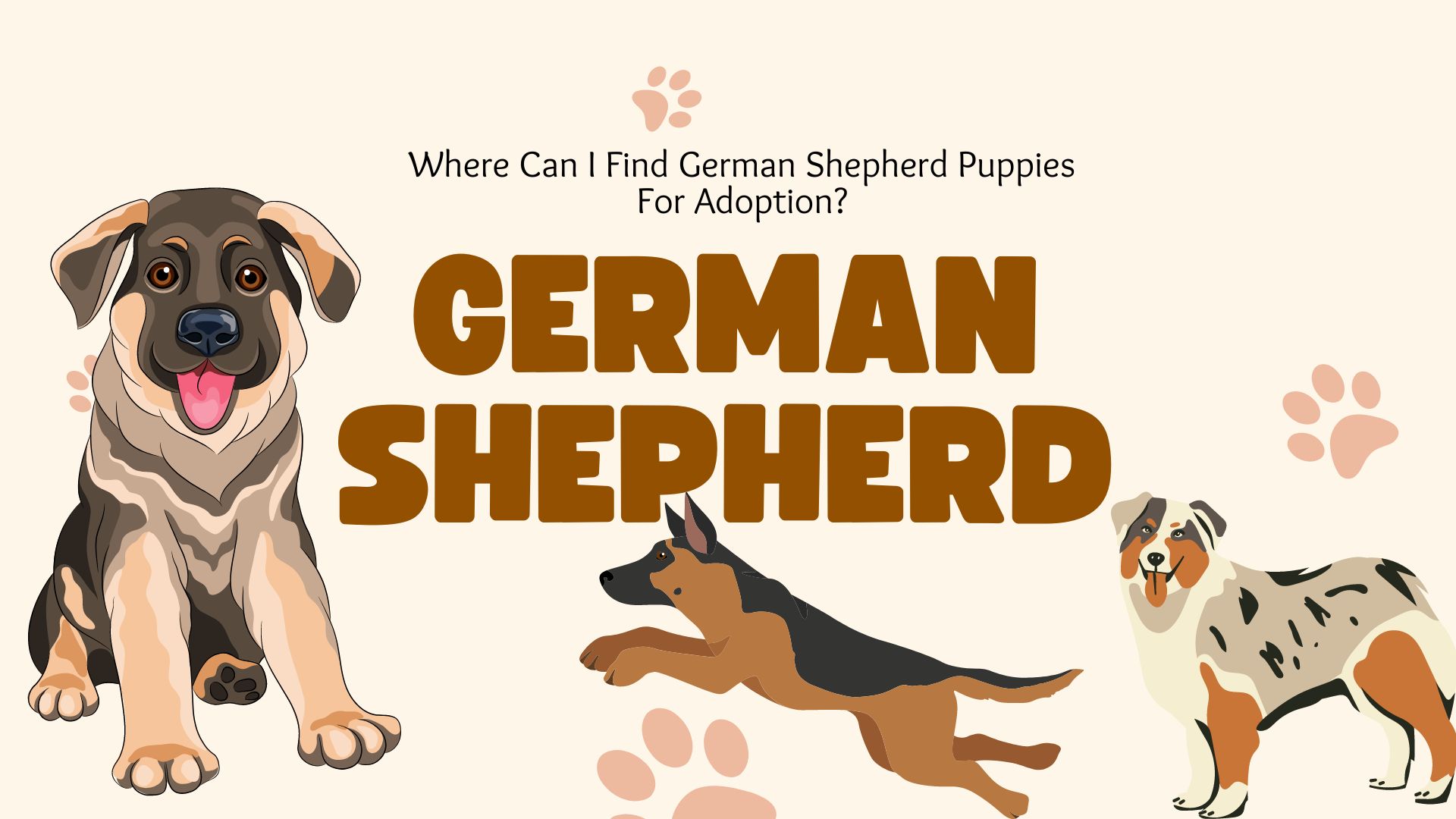 Where Can I Find German Shepherd Puppies For Adoption