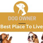 Where Is The Best Place To Live As A Dog Owner?